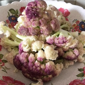 C94DB6B6-494D-4C45-9244-CE50C05AF55C