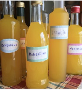 EF39D8E3-9281-413A-8E4A-4204C9C9BD02